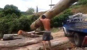 L'homme le plus fort du monde soulève un arbre!