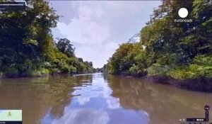 Balade virtuelle au cœur de la forêt amazonienne