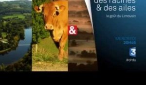 DRDA : Le goût du Limousin – Bande-annonce