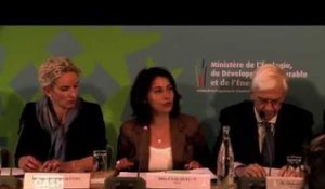 Cash Investigation - Formation des élus : Cécile Duflot a-t-elle le don de se dédoubler ?