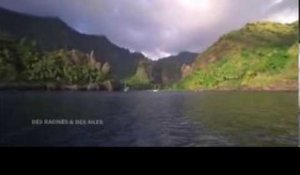 DRDA : En Polynésie - La Baie des Vierges