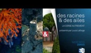 DRDA : La Corse autrement - Bande-annonce