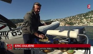 À Villefranche-sur-mer, des plongeurs remontent des trésors depuis 30 ans