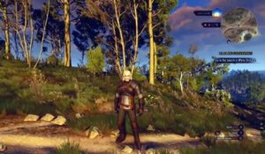 The Witcher 3 - vidéo de gameplay bluffante