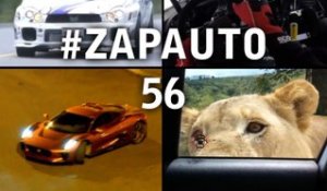 #ZapAuto 56