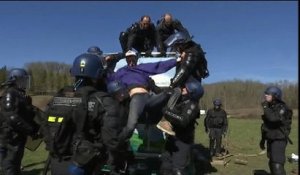 Sivens: les gendarmes évacuent les derniers zadistes