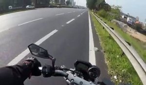 Des motards sauvent un chien perdu sur l'autoroute...