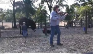 Un âne qui aime chanter avec le violon