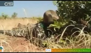 L'armée malienne en grande action...