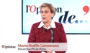 Marie-Noëlle Lienemann - Départementales : « Etre contre le FN ne suffit pas »