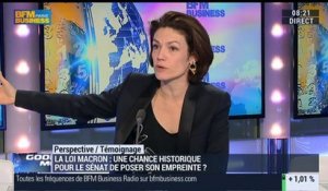 "La loi Macron, telle qu'elle est écrite aujourd'hui, n'est pas une grande loi de croissance": Chantal Jouanno - 17/03