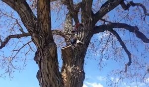 Une fillette de 4 ans escalade un arbre