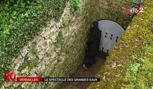 Versailles : le spectacle des Grandes Eaux fait son retour