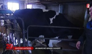 Les quotas laitiers disparaissent au 1er avril