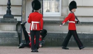 Un Garde du Buckingham Palace se prend la HONTE en tombant !