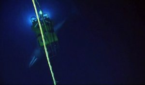 Un sous-marin reçoit la visite exceptionnelle d'un cachalot dans les profondeurs