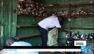 Burundi : les autorités libèrent Pierre-Claver Mbonimpa