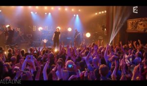 Alcaline, le Concert : Texas - Inner Smile en live
