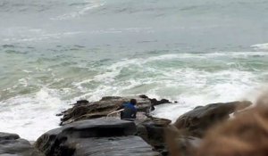 Mise à l'eau difficile : un surfeur violemment plaqué contre les rochers en Australie