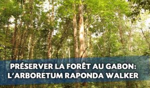 Préserver la forêt au Gabon : L’exemple de l’Arboretum Raponda Walker