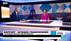 France-Afrique : un rapport parlementaire très critique appelle à une nouvelle politique africaine