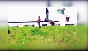 Calais : des CRS délogent des migrants à coups de pied