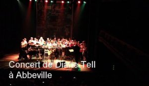 Concert de Diane Tell à Abbeville