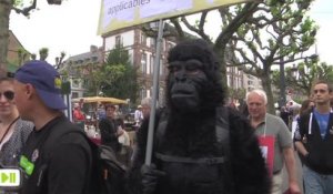 Marche contre le  centre de primatologie de Strasbourg
