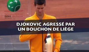 Novak Djokovic agressé par un bouchon de liège