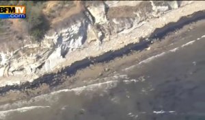 Une marée noire menace des baleines au large de Santa Barbara