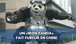 Un «Iron Panda» fait fureur en Chine