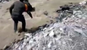 Un policier sauve un chien de la noyade, tombé dans une rivière en crue