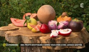 Escale en Martinique : les fruits exotiques