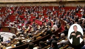 "Vous avez des cours de rattrapage d'Etat de droit à prendre", lance Fleur Pellerin à un député UMP