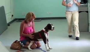Elle voit son chien remarcher pour la première fois
