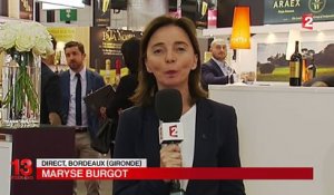 Loi Evin : François Hollande en visite au salon Vinexpo de Bordeaux