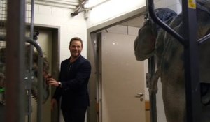 Chris Pratt piégé par un faux Raptor !! Caméra Cachée Jurassic Park