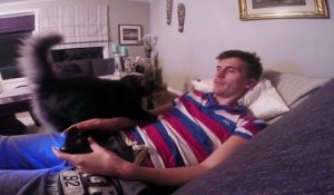 Un Chat Chante Avec Son Maitre Si T Es Fier D Etre Un Chat Miaule Un Coup Miaouuu Sur Orange Videos