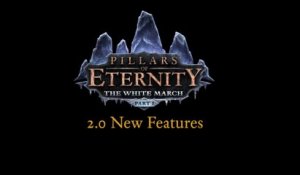 Pillars of Eternity - Update 2.0