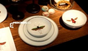Bande annonce - Maison France 5 : les insectes s'invitent dans votre maison (08/07)