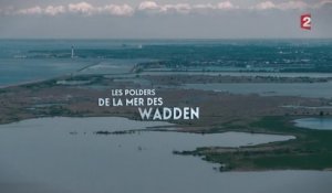 Les Pays-Bas, les pieds dans l’eau
