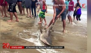 L'est des États-Unis touché par des attaques de requins à répétition