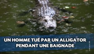 Un homme tué par un alligator pendant une baignade