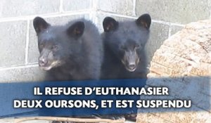 Le garde-chasse sauve deux oursons de l'euthanasie, et est suspendu