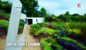 Jardin - Coups de cœur à Chaumont - 2015/08/15