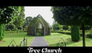 Il passe 4 ans à faire grandir et créer une église faites d'arbres - Nouvelle Zélande