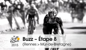 Buzz du jour / Buzz of the day - Étape 8 (Rennes > Mûr-de-Bretagne) - Tour de France 2015