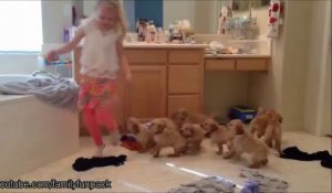 Des chiots attaquent des humains - Compilation d'animaux adorables
