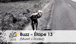 Buzz du jour / Buzz of the day - Étape 13 (Muret > Rodez) - Tour de France 2015