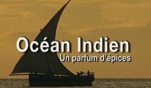 Ocean indien, un parfum d'épices